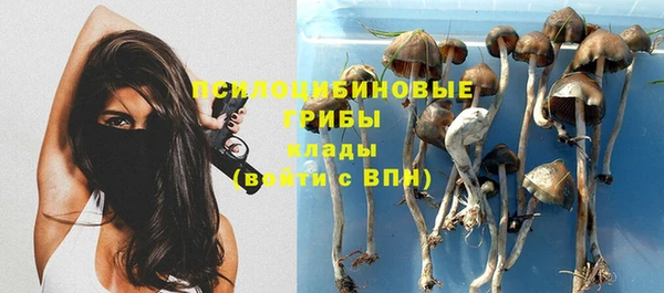 скорость Алзамай