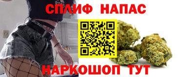 сатива Славянск-на-Кубани