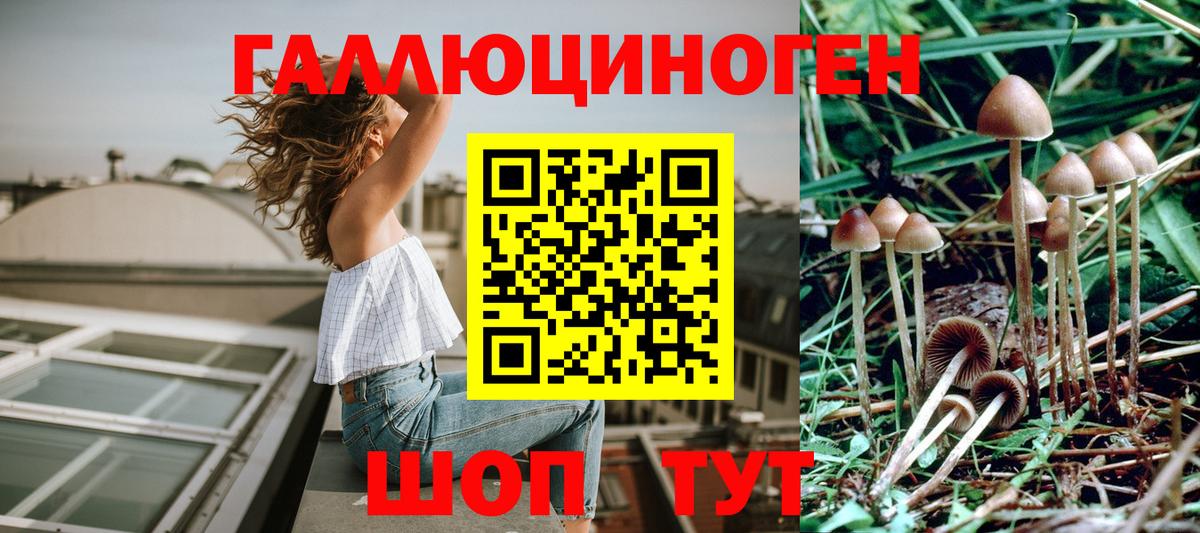 Галлюциногенные грибы мухоморы Саранск