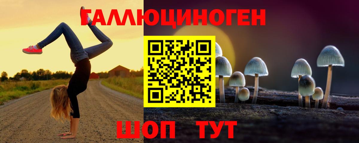 Саранск  купить наркотики цена  Вход с VPN  Галлюциногенные грибы Magic Shrooms  Галлюциногенные грибы Psilocybe 
